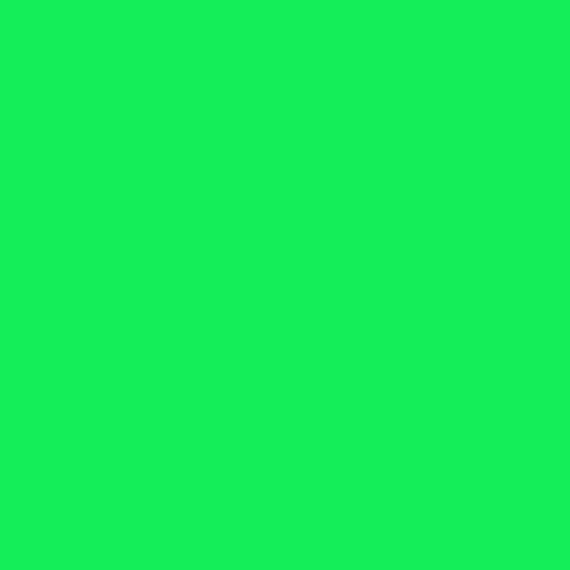 Siser EasyWeed Fluorescent Heat Transfer Vinyl 15" - Green