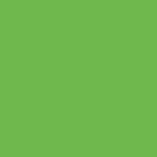Green Apple Siser EasyWeed HTV 20"  / Heat Transfer Vinyl / Siser EasyWeed